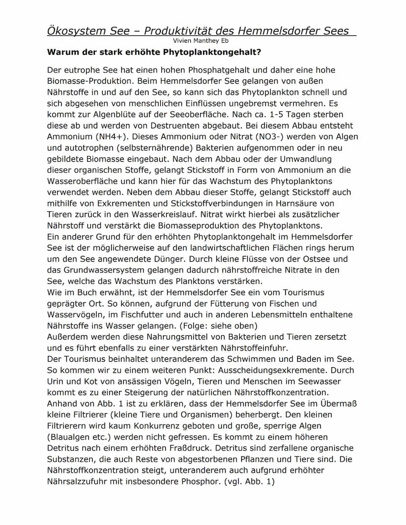Ökosystem See – Produktivität des Hemmelsdorfer Sees
Vivien Manthey Eb
Die Faktoren, die das Wachstum von Phytoplankton beeinflussen
Das Wac