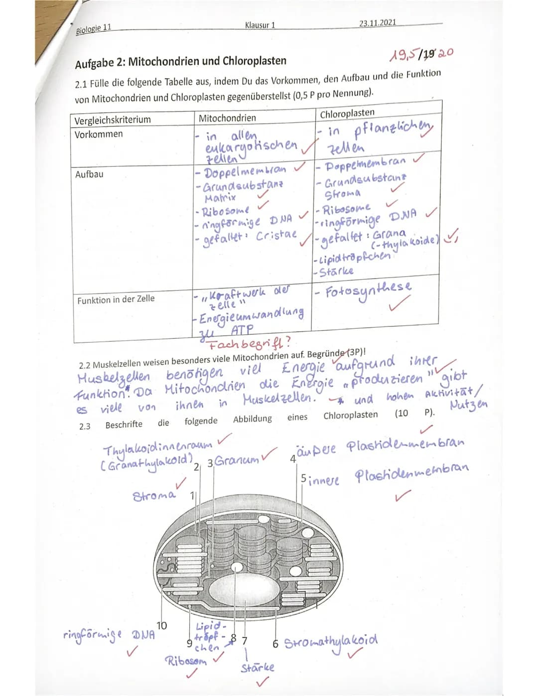 Biologie 11
Name:
SE sonstige Mitarbeit:
Achte immer auf eine ordentliche Darstellung und kurze, aber sinnvolle Kommentare zu den
einzelnen 