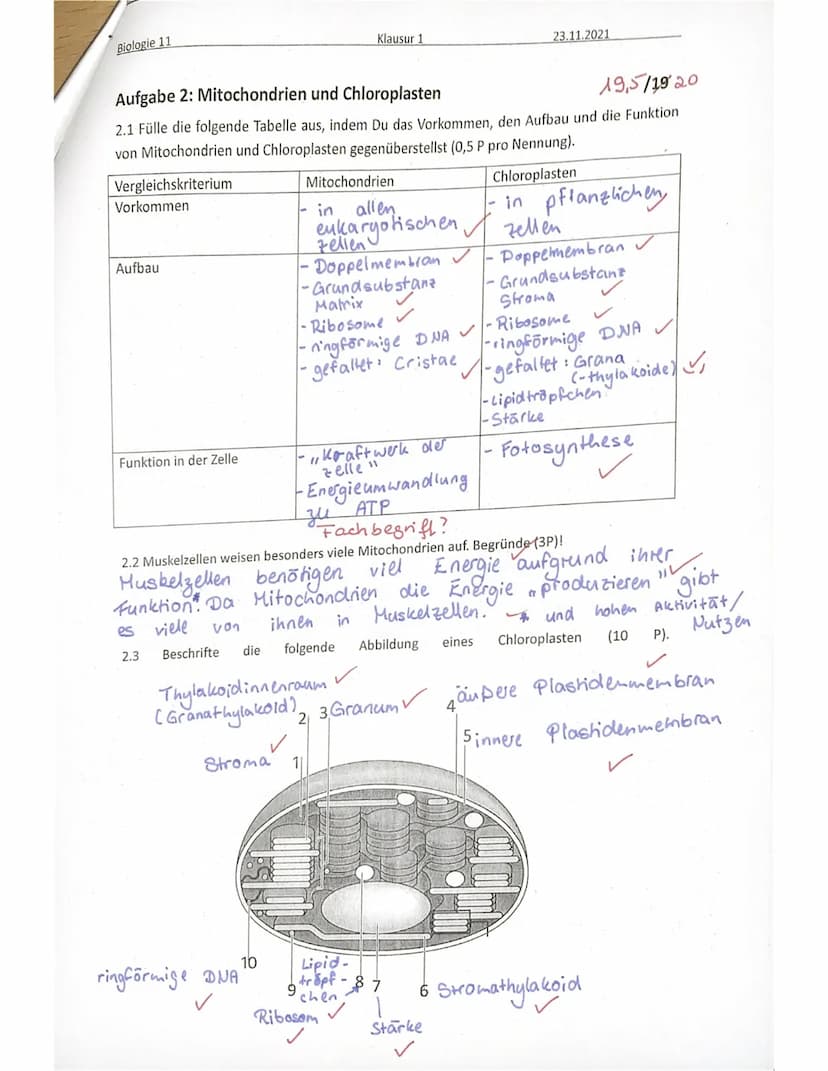 Biologie 11
Name:
SE sonstige Mitarbeit:
Achte immer auf eine ordentliche Darstellung und kurze, aber sinnvolle Kommentare zu den
einzelnen 