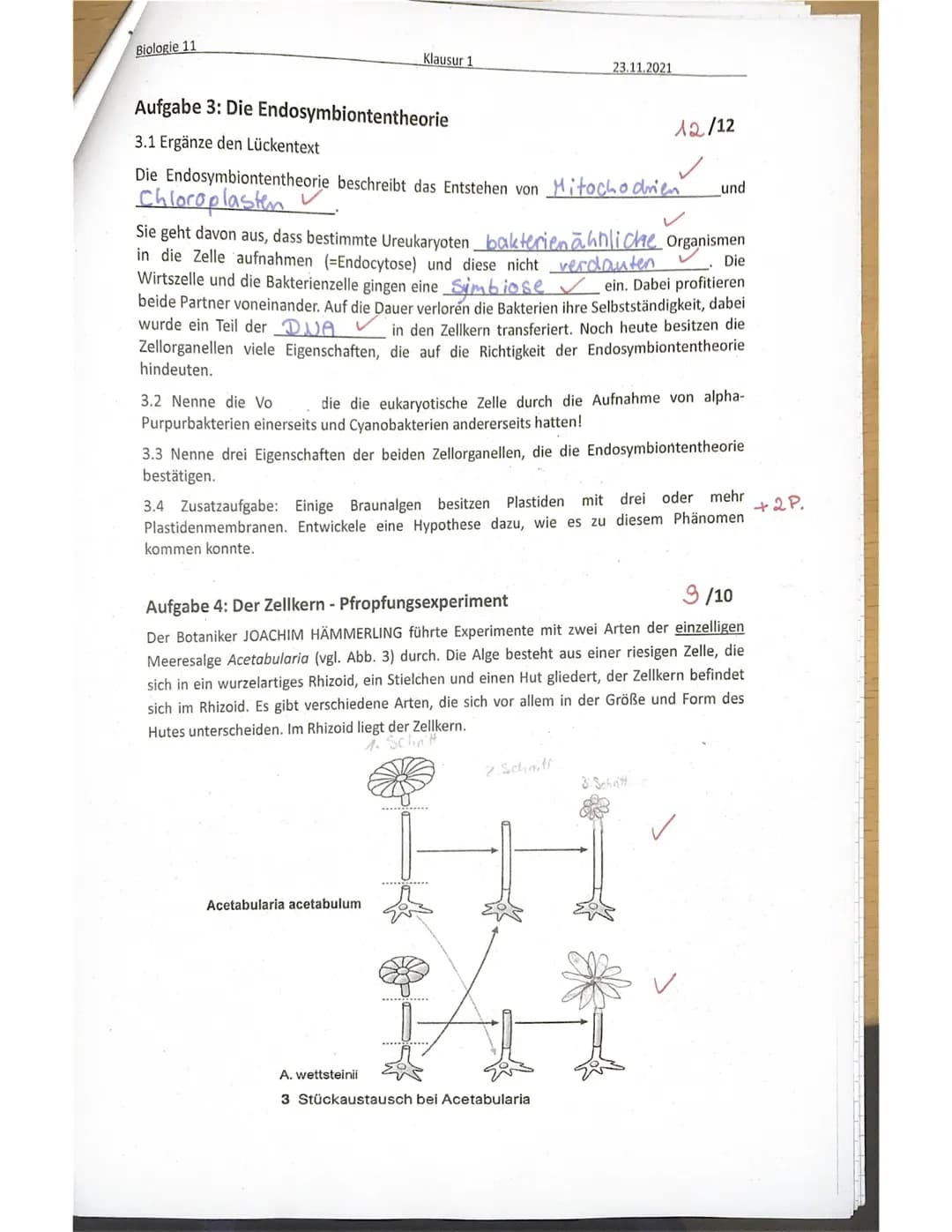 Biologie 11
Name:
SE sonstige Mitarbeit:
Achte immer auf eine ordentliche Darstellung und kurze, aber sinnvolle Kommentare zu den
einzelnen 