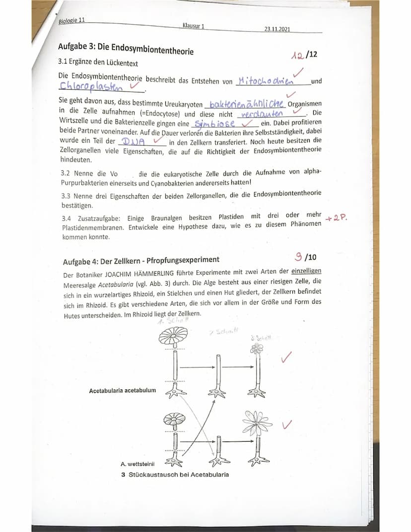 Biologie 11
Name:
SE sonstige Mitarbeit:
Achte immer auf eine ordentliche Darstellung und kurze, aber sinnvolle Kommentare zu den
einzelnen 