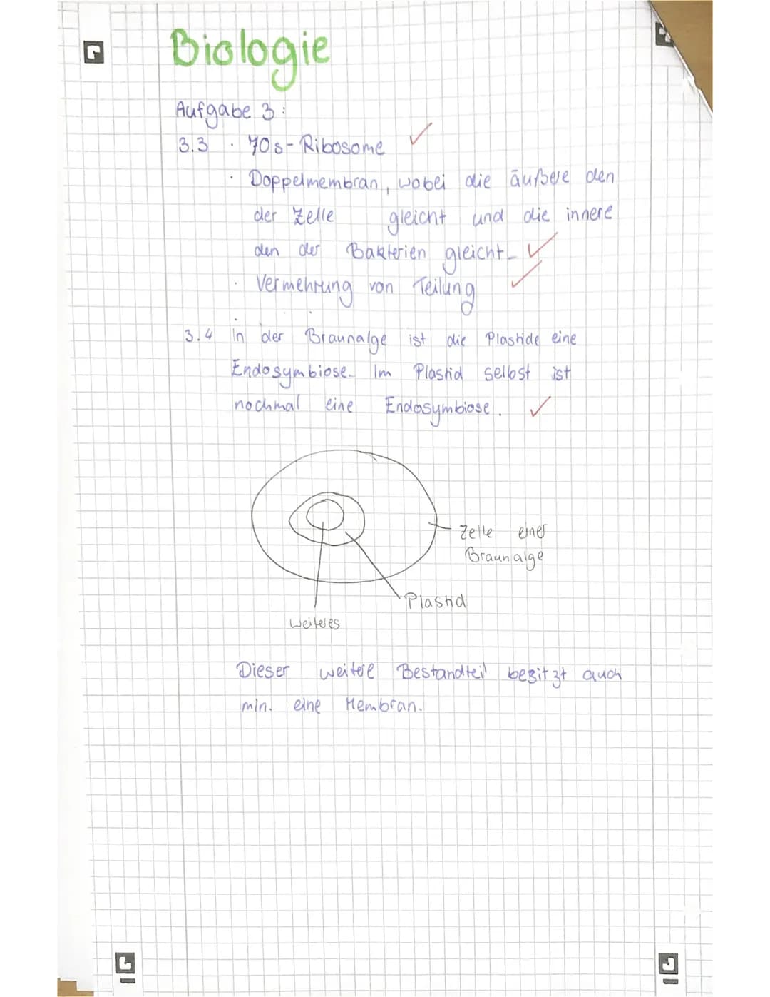 Biologie 11
Name:
SE sonstige Mitarbeit:
Achte immer auf eine ordentliche Darstellung und kurze, aber sinnvolle Kommentare zu den
einzelnen 