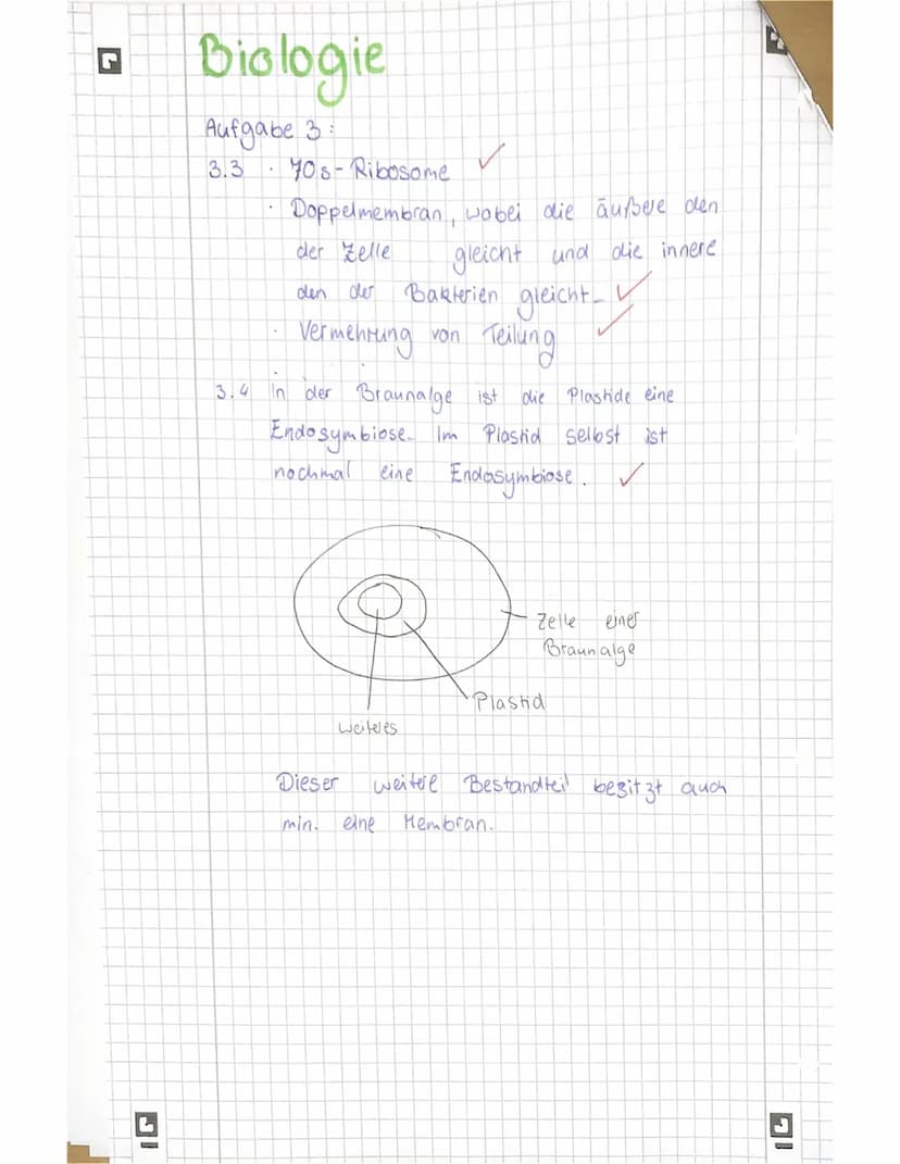 Biologie 11
Name:
SE sonstige Mitarbeit:
Achte immer auf eine ordentliche Darstellung und kurze, aber sinnvolle Kommentare zu den
einzelnen 