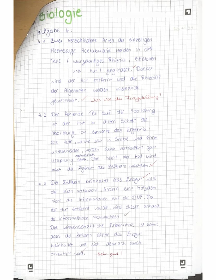 Biologie 11
Name:
SE sonstige Mitarbeit:
Achte immer auf eine ordentliche Darstellung und kurze, aber sinnvolle Kommentare zu den
einzelnen 