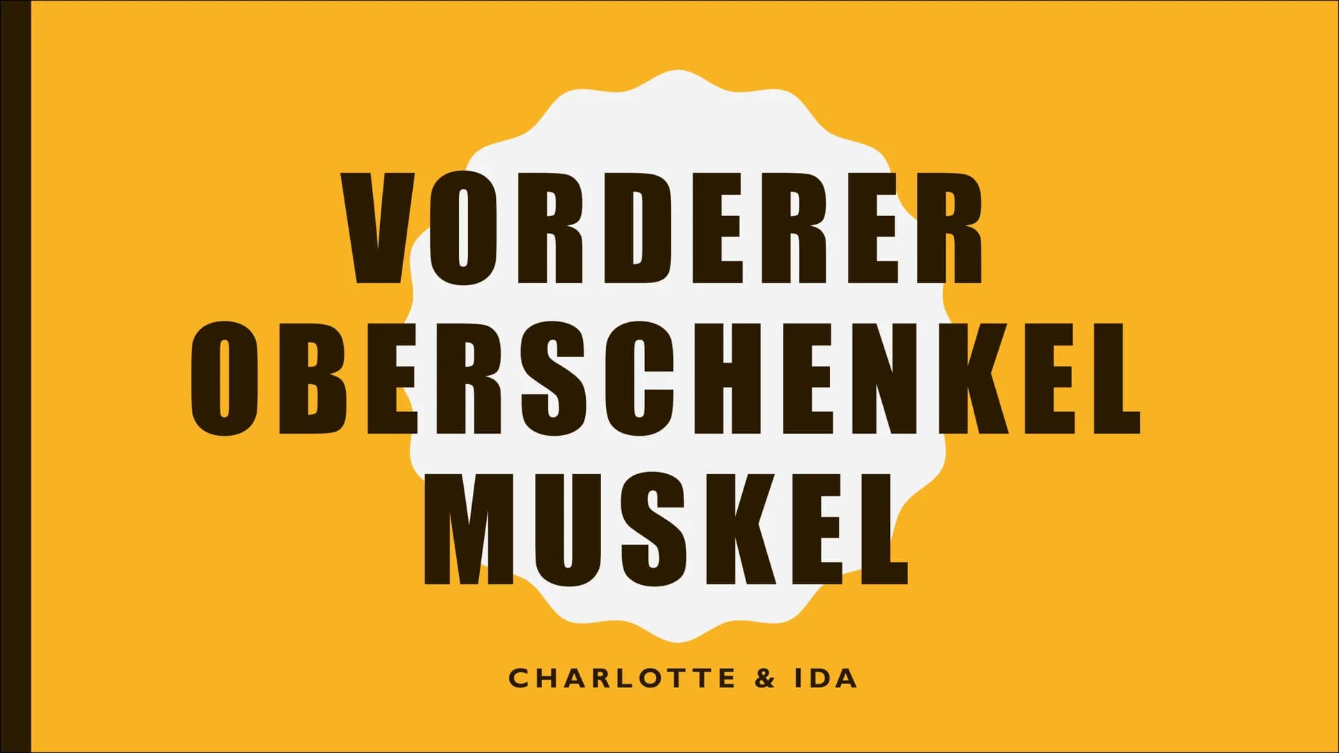 VORDERER
OBERSCHENKEL
MUSKEL
CHARLOTTE & IDA ANDERE
BEZEICHNUNGEN
●
Lateinischer Name: Musculus quadriceps femoris
(Quadrizeps)
4 köpfiger O