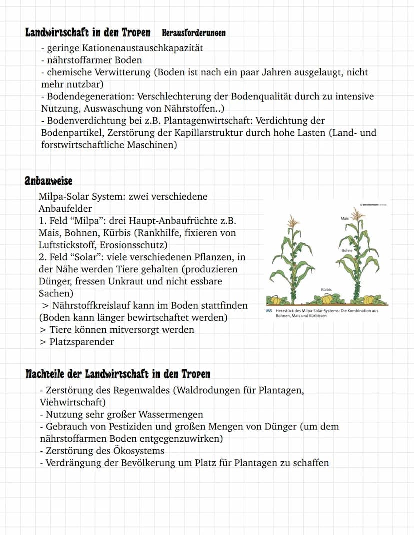 (=C
O
③ □□□ o
oooooooooo
0
oooooooooooooooooo
oooooo
0 0 0 0 0 0 0 0 0 0 0 0 0
ooooo
☐
00
INHALTSVERZEICHNIS
Landwirtschaft in verschiedenen