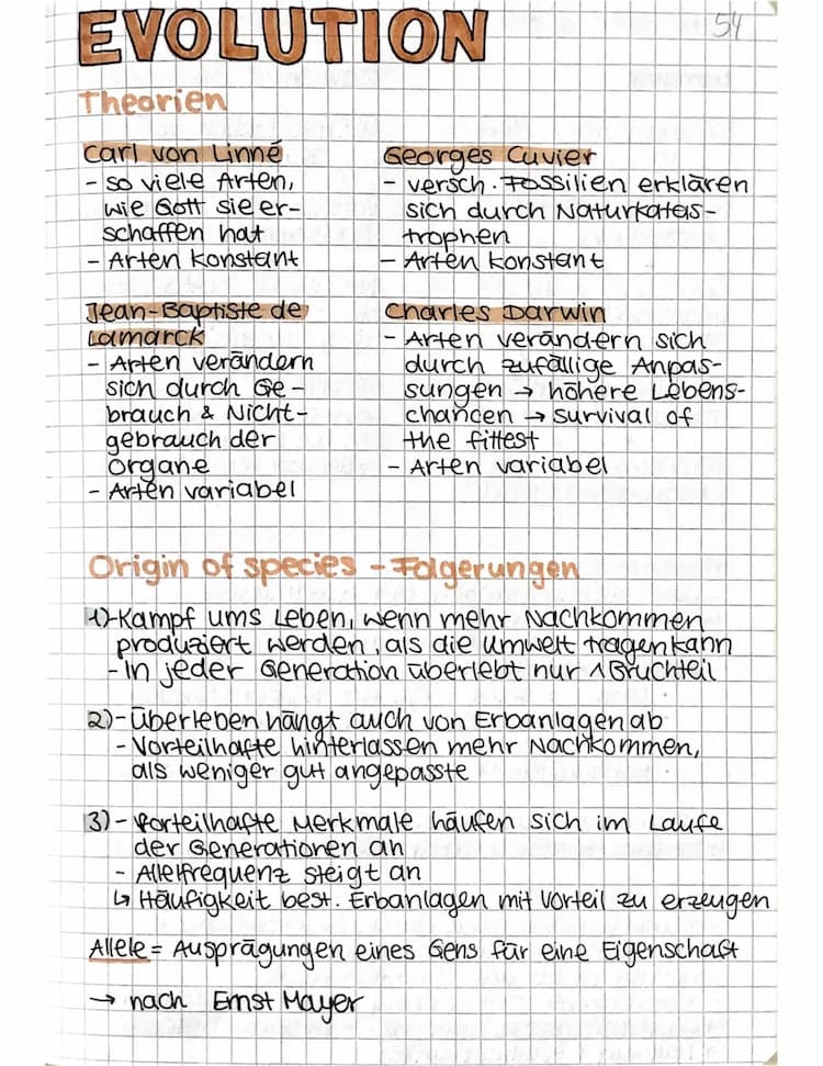 Know Evolution komplett thumbnail