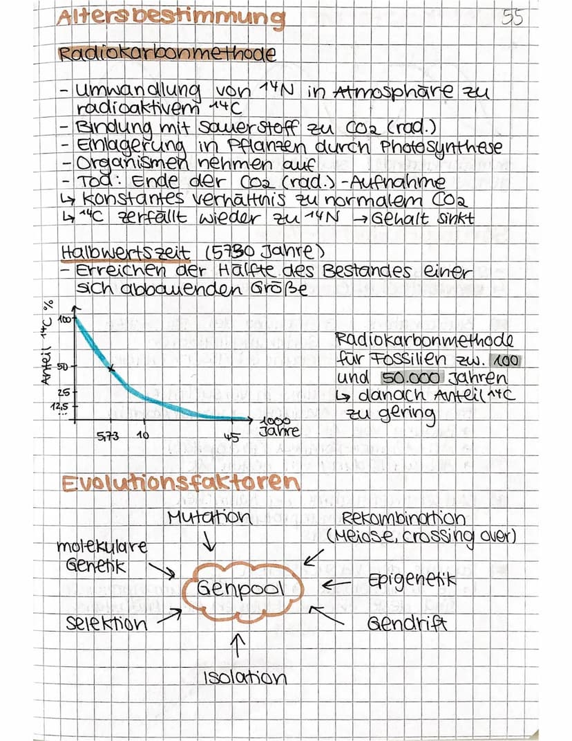 EVOLUTION
Theorien
Carl von Linné
So viele Arten,
wie Gott sie er-
schaffen hat
Arten konstant
Jean-Baptiste de
Lamarck
Arten verandern
sich