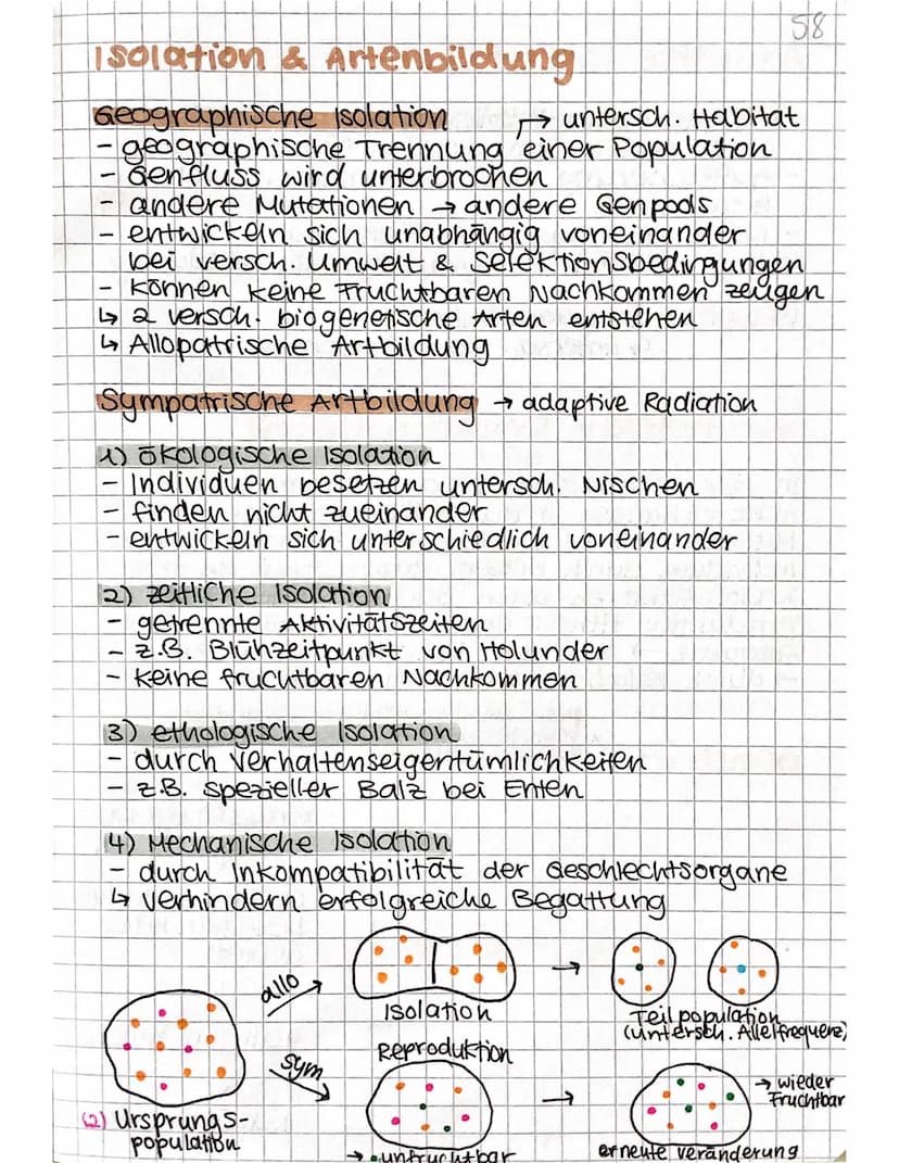EVOLUTION
Theorien
Carl von Linné
So viele Arten,
wie Gott sie er-
schaffen hat
Arten konstant
Jean-Baptiste de
Lamarck
Arten verandern
sich