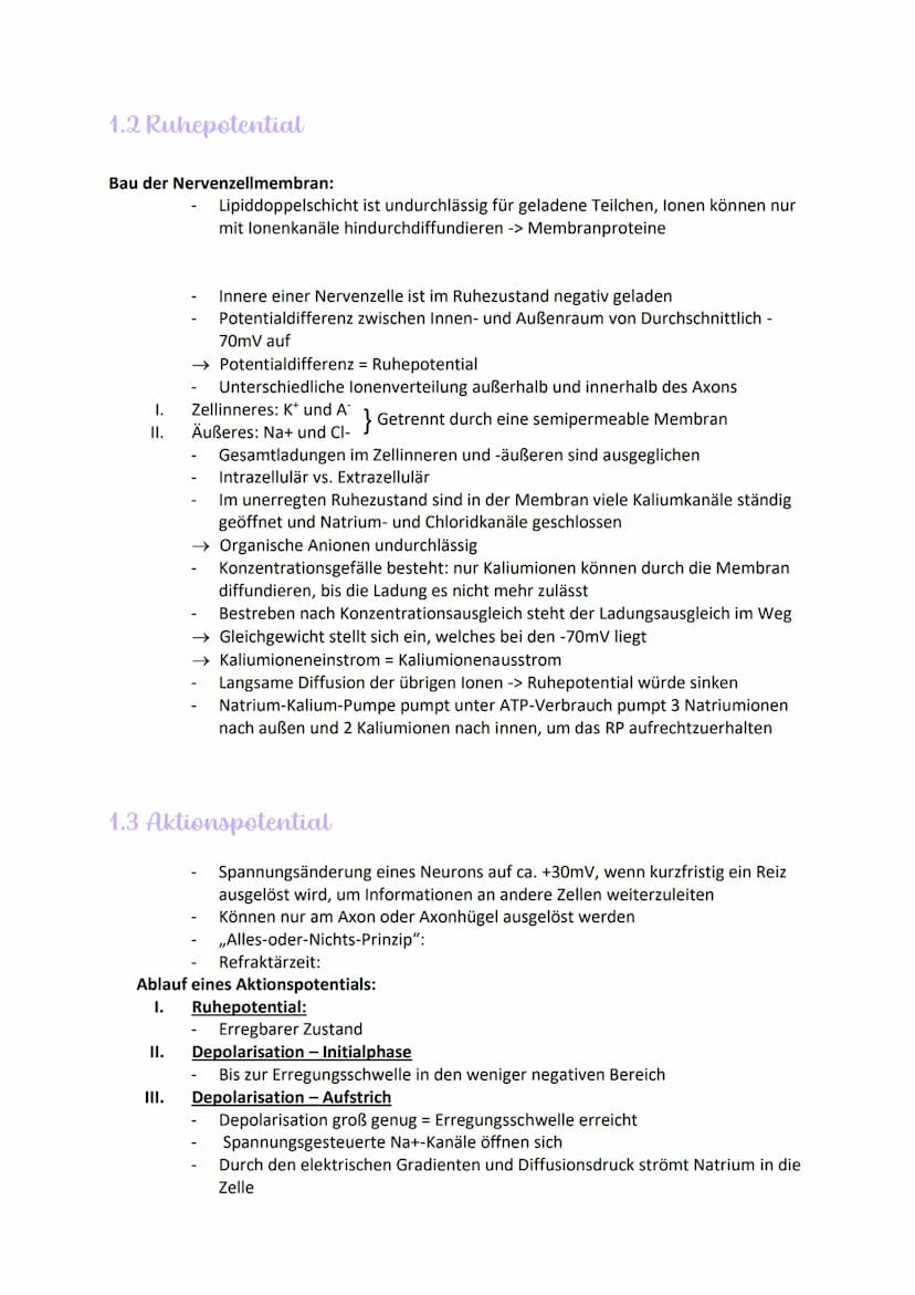 
<h2 id="aufbauundfunktionenvonneuronen">Aufbau und Funktionen von Neuronen</h2>
<p>Die Nervenzelle, auch Neuron genannt, hat verschiedene B