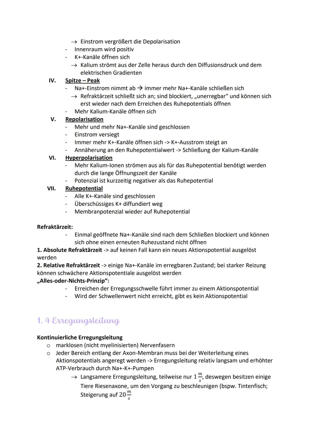 
<h2 id="aufbauundfunktionenvonneuronen">Aufbau und Funktionen von Neuronen</h2>
<p>Die Nervenzelle, auch Neuron genannt, hat verschiedene B