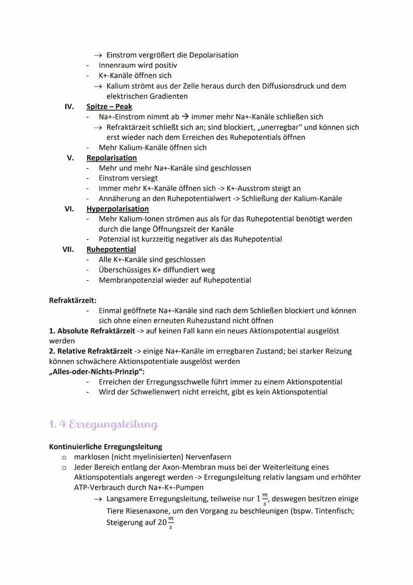 
<h2 id="aufbauundfunktionenvonneuronen">Aufbau und Funktionen von Neuronen</h2>
<p>Die Nervenzelle, auch Neuron genannt, hat verschiedene B
