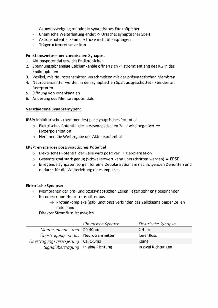 
<h2 id="aufbauundfunktionenvonneuronen">Aufbau und Funktionen von Neuronen</h2>
<p>Die Nervenzelle, auch Neuron genannt, hat verschiedene B