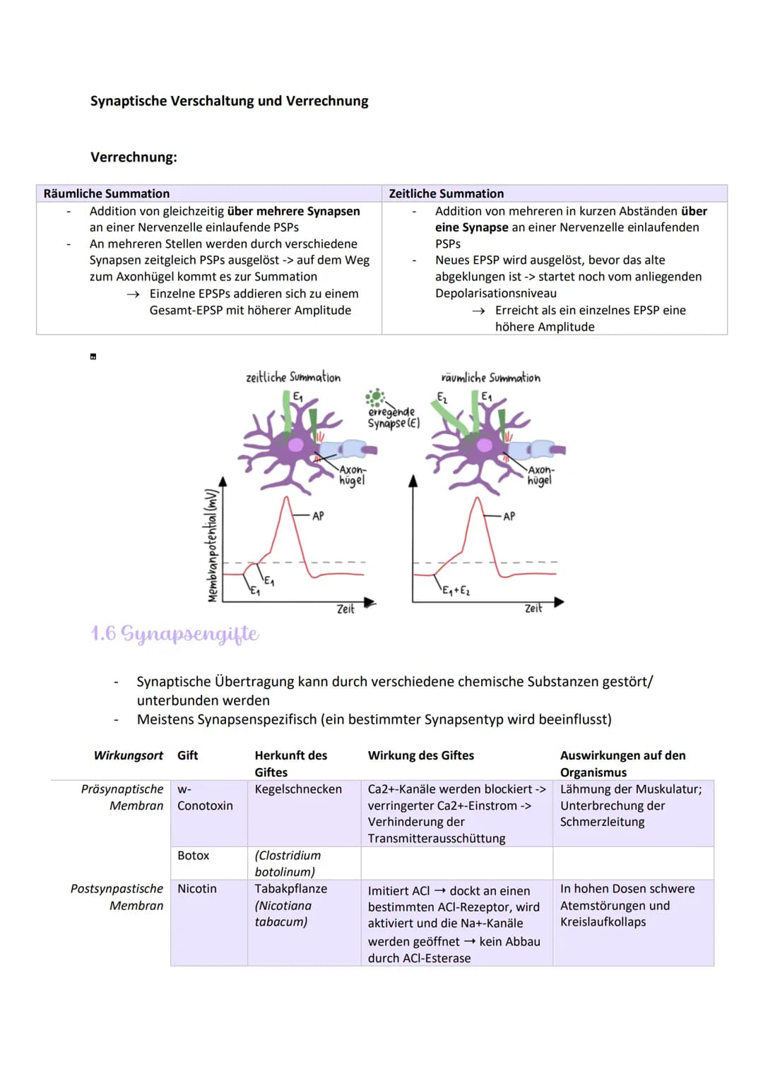 
<h2 id="aufbauundfunktionenvonneuronen">Aufbau und Funktionen von Neuronen</h2>
<p>Die Nervenzelle, auch Neuron genannt, hat verschiedene B