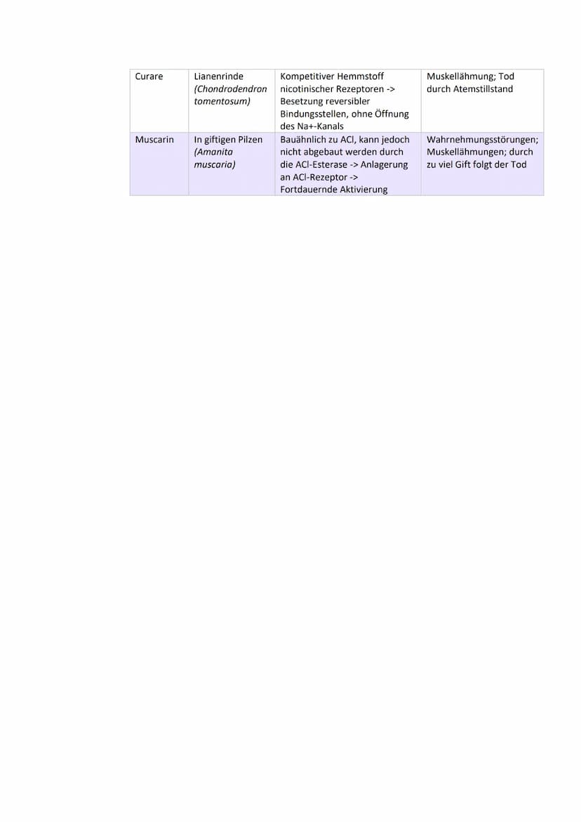 
<h2 id="aufbauundfunktionenvonneuronen">Aufbau und Funktionen von Neuronen</h2>
<p>Die Nervenzelle, auch Neuron genannt, hat verschiedene B