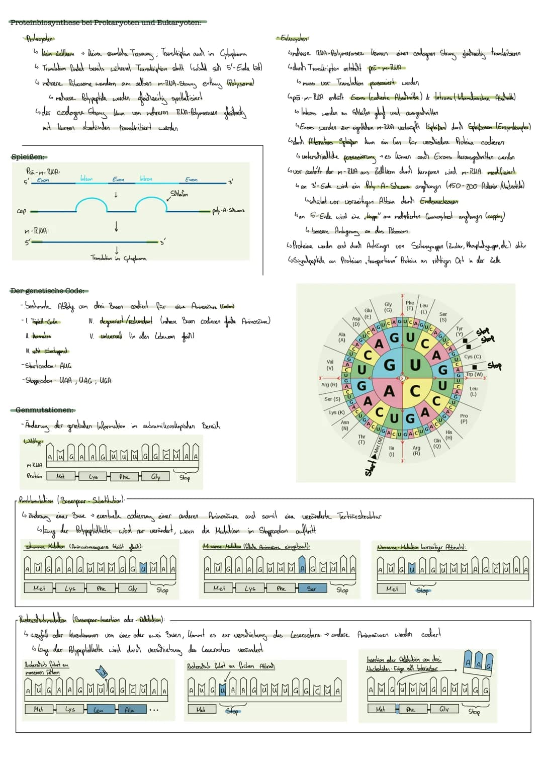 GENETIK
DNA Doxyribonulikinsäure
enthält Erbinformation
Aufbau:
-Basen Adenin; Thymin
Guarin; Cylosin
CHROMOSOMEN:
gibt diese weiter
informa