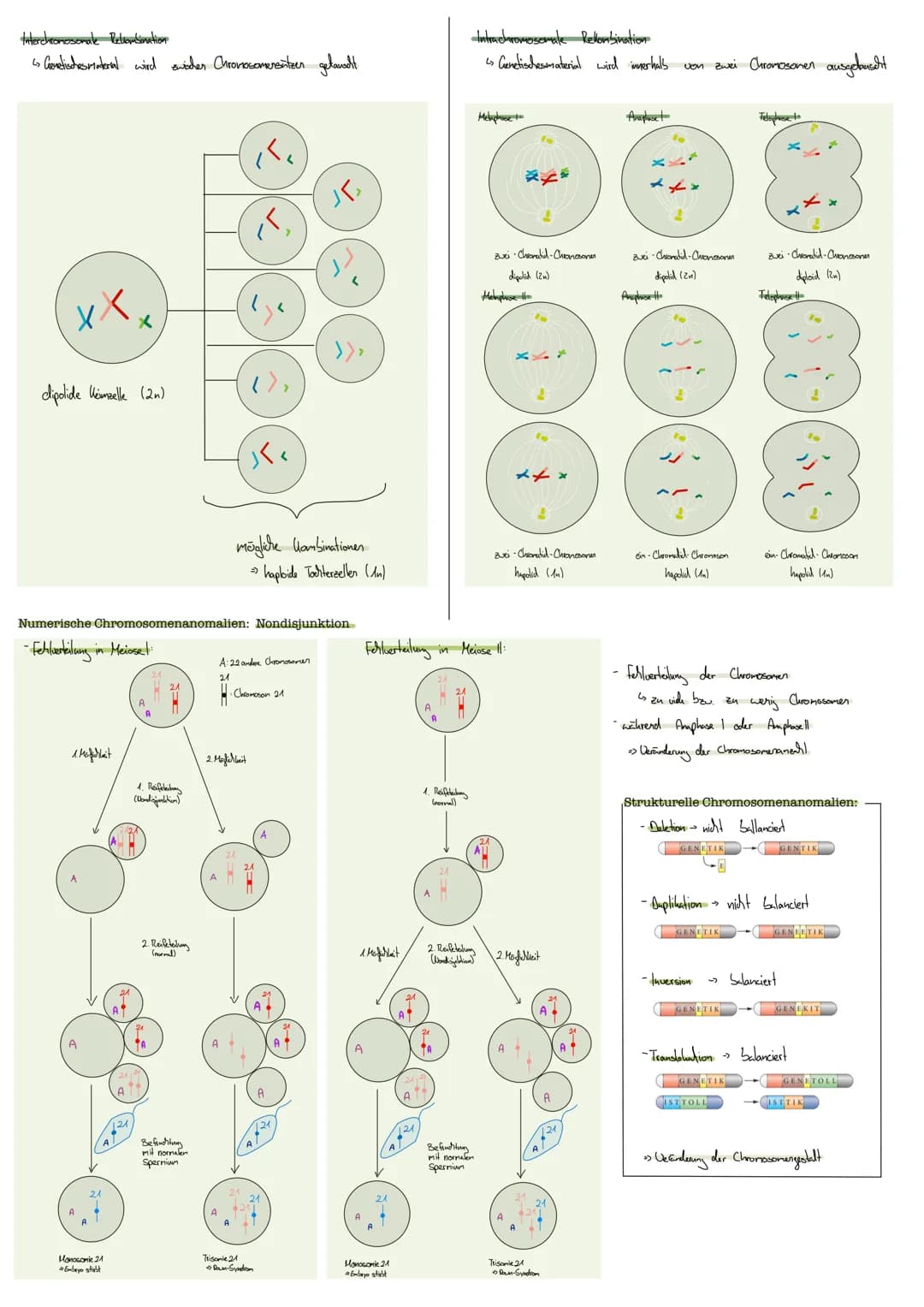 GENETIK
DNA Doxyribonulikinsäure
enthält Erbinformation
Aufbau:
-Basen Adenin; Thymin
Guarin; Cylosin
CHROMOSOMEN:
gibt diese weiter
informa