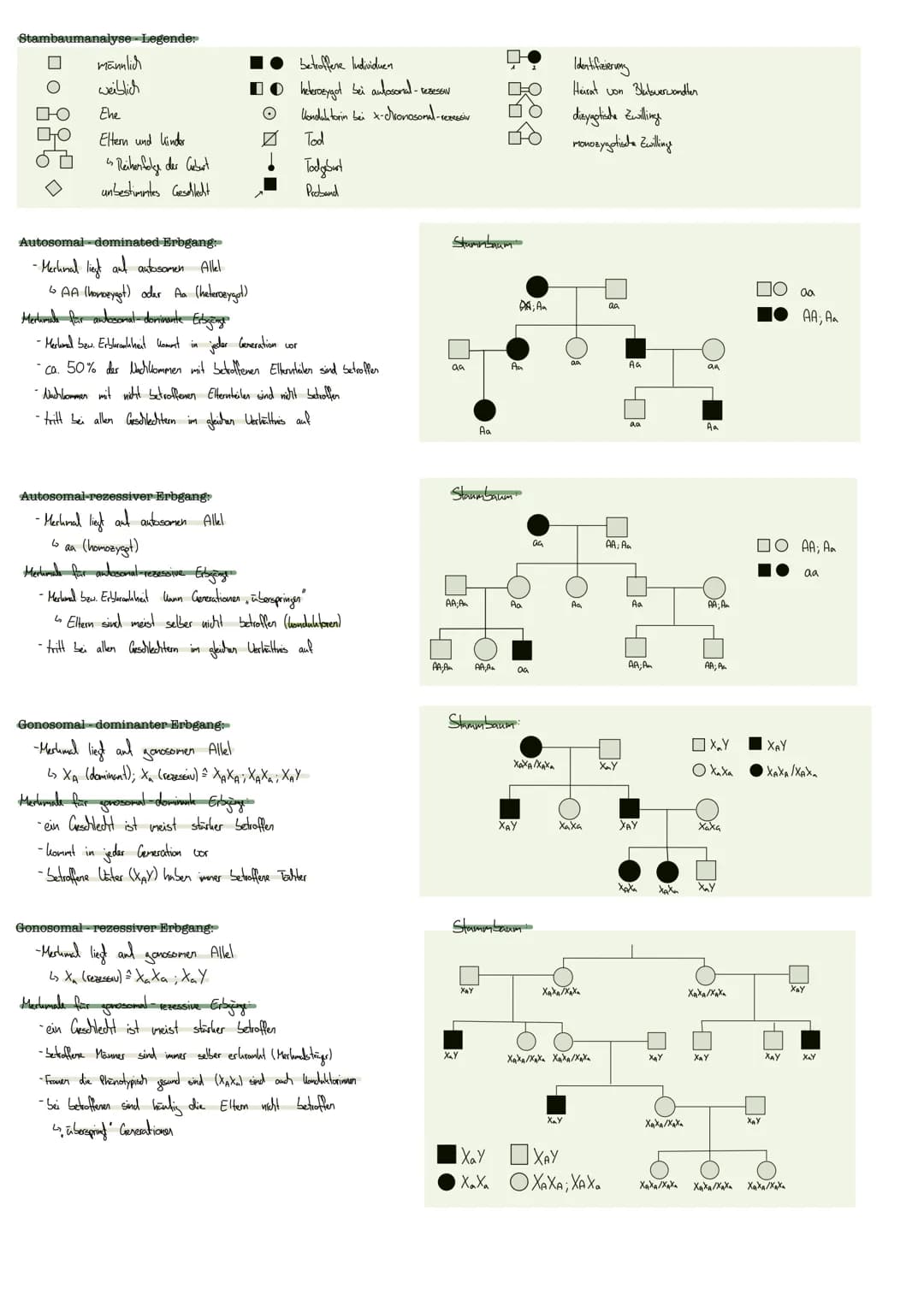 GENETIK
DNA Doxyribonulikinsäure
enthält Erbinformation
Aufbau:
-Basen Adenin; Thymin
Guarin; Cylosin
CHROMOSOMEN:
gibt diese weiter
informa