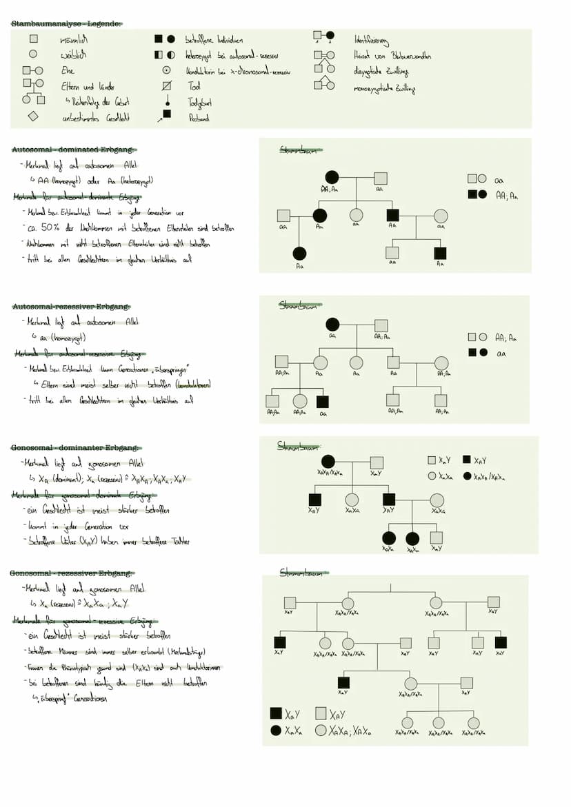 GENETIK
DNA Doxyribonulikinsäure
enthält Erbinformation
Aufbau:
-Basen Adenin; Thymin
Guarin; Cylosin
CHROMOSOMEN:
gibt diese weiter
informa