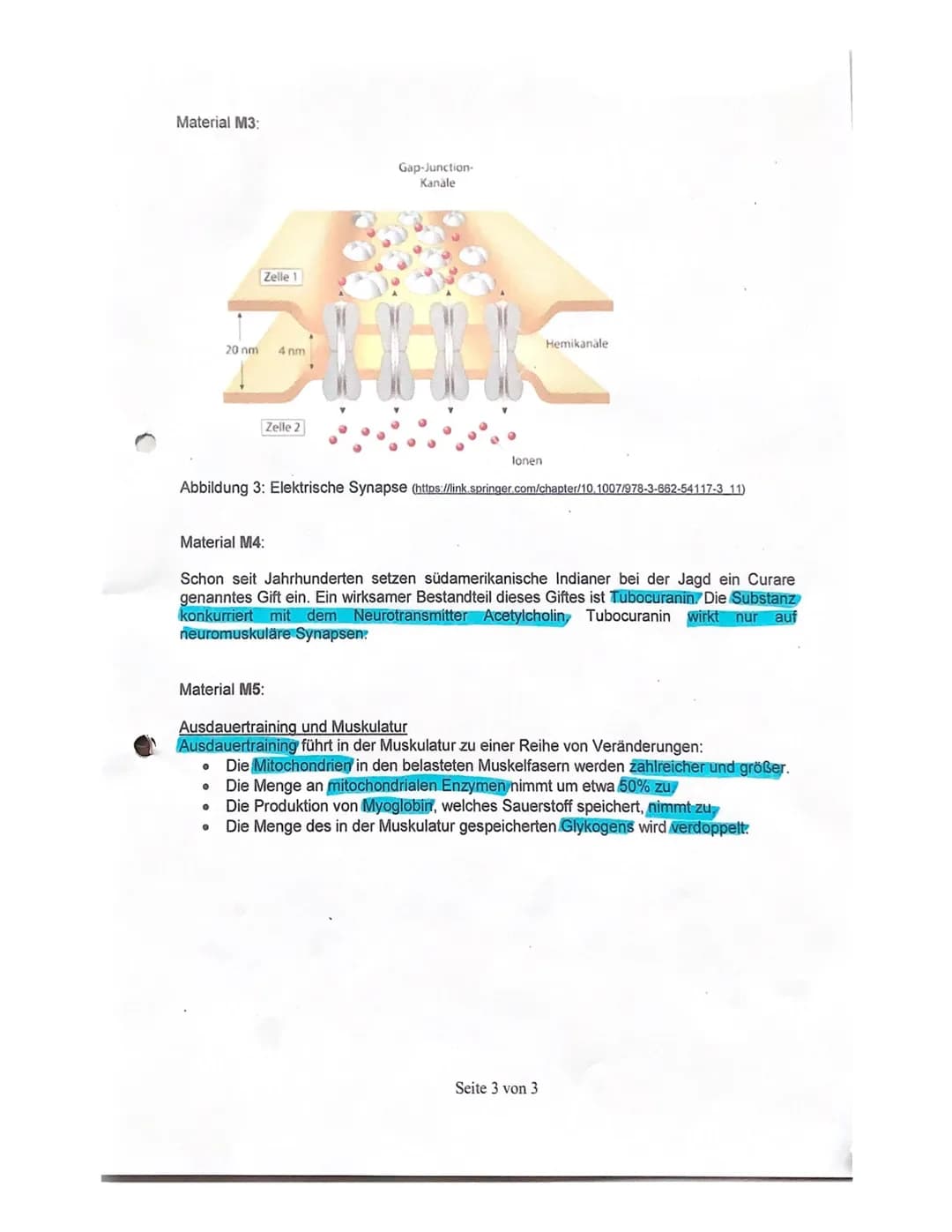 
<h2 id="neurophysiologie">Neurophysiologie</h2>
<h3 id="beschreibungdesaufbauseinernervenzelle">Beschreibung des Aufbaus einer Nervenzelle<