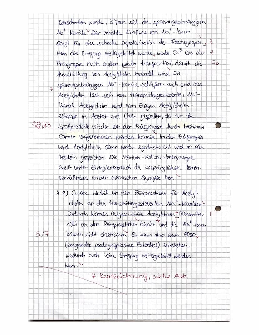 
<h2 id="neurophysiologie">Neurophysiologie</h2>
<h3 id="beschreibungdesaufbauseinernervenzelle">Beschreibung des Aufbaus einer Nervenzelle<