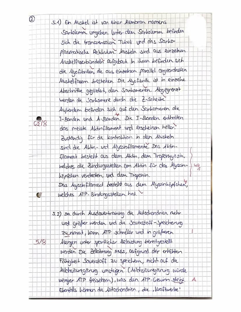 
<h2 id="neurophysiologie">Neurophysiologie</h2>
<h3 id="beschreibungdesaufbauseinernervenzelle">Beschreibung des Aufbaus einer Nervenzelle<