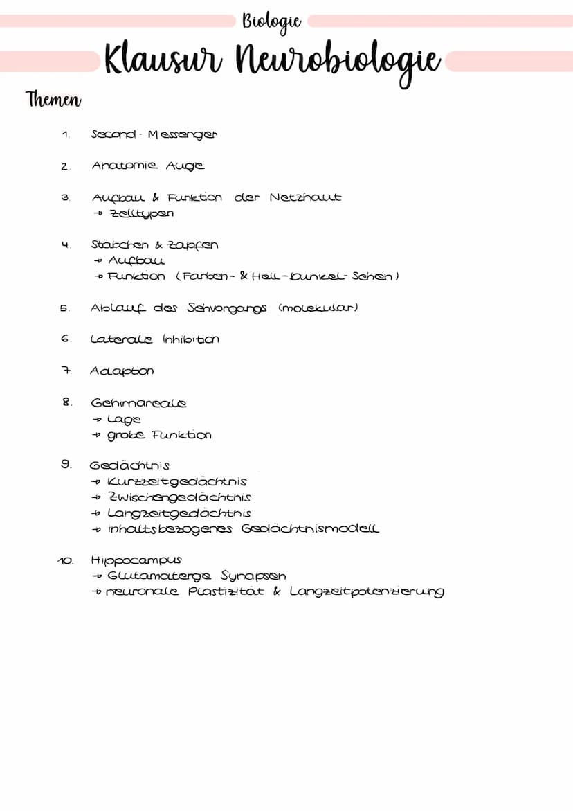 Verrechnung
• mehrere gleichzeitig eintreffende unterschwellige Erregungen an verschiedonan
bendriten / Stellen am Dendrit
räumliche Summati
