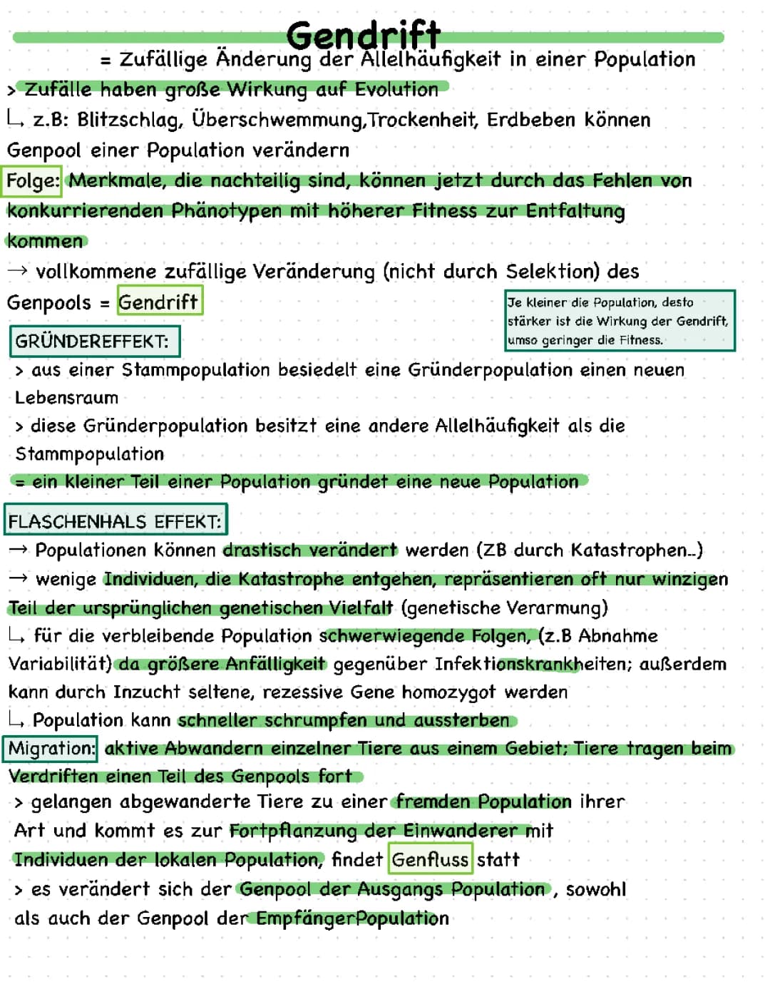 Gendrift und Flaschenhalseffekt einfach erklärt: Spannende Beispiele für Kinder