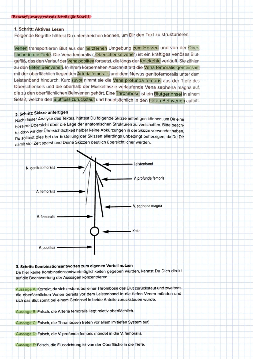 Medizinisch-naturwissenschaftliches GV
kurze aber komplexe Sachverhalte: medizinischer o. naturwissenschaftlicher
Hintergrund
zu jedem Text: