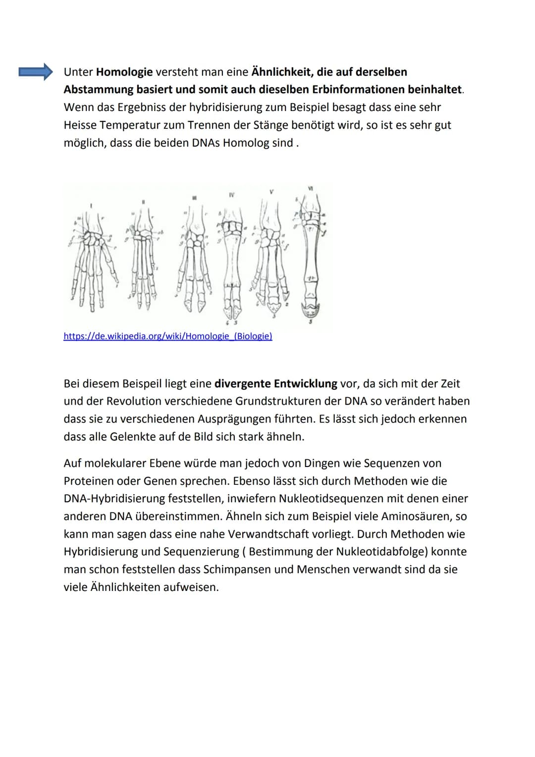 DNA-Hybridisierung und molekularbiologische Homologien (Julian Fuß)
Die DNA-Hybridisierung dient zur Erforschung des Verwandtschaftsgrades u