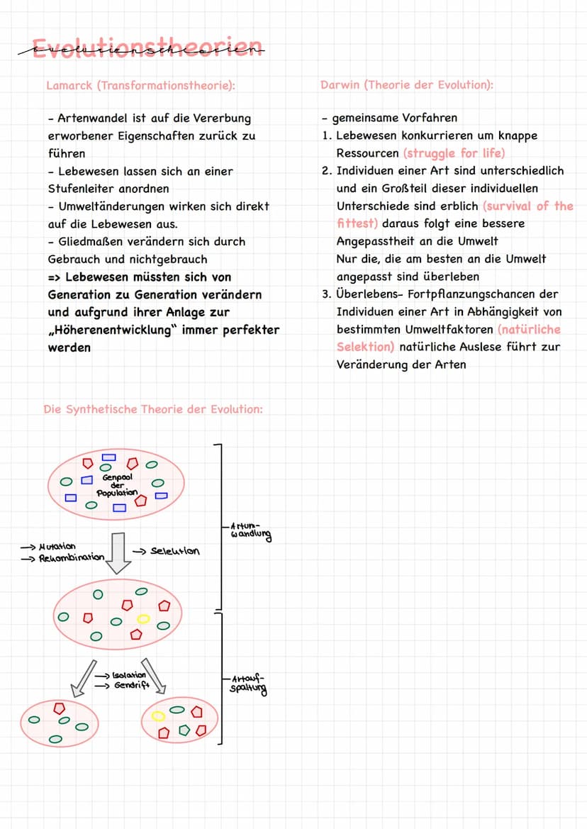 অল Definition EVOLUTION
Definition :
Mechanismen, Prozesse und historische Abläufe (Veränderungen), die zur
Entstehung des Lebens in seiner 