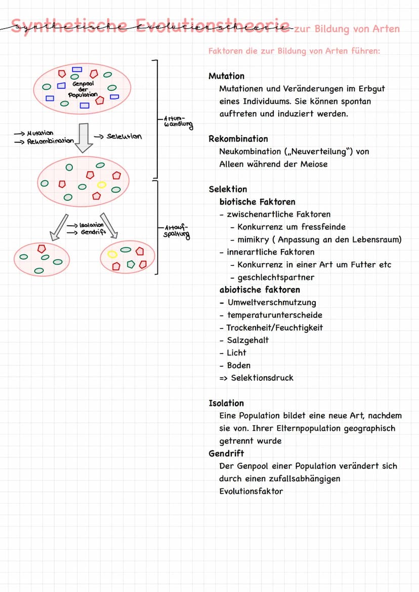 অল Definition EVOLUTION
Definition :
Mechanismen, Prozesse und historische Abläufe (Veränderungen), die zur
Entstehung des Lebens in seiner 