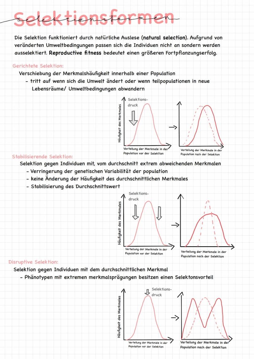 অল Definition EVOLUTION
Definition :
Mechanismen, Prozesse und historische Abläufe (Veränderungen), die zur
Entstehung des Lebens in seiner 