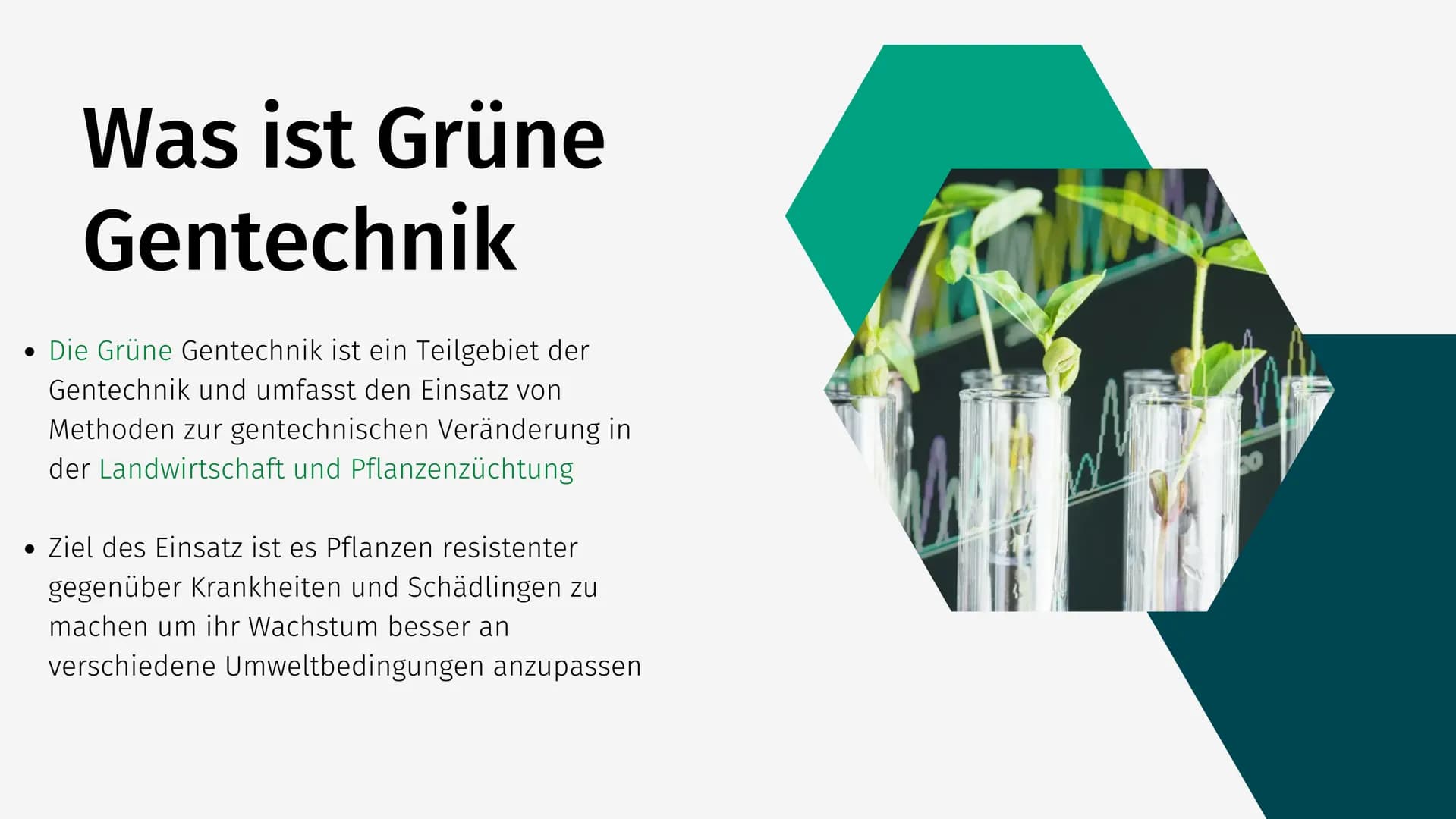Grüne Gentechnik Gliederung
• Was ist Grüne Gentechnik?
• Grüne Gentechnik Methoden
• Fallbeispiel: Golden Rice
●
• Vor- & Nachteile von Grü