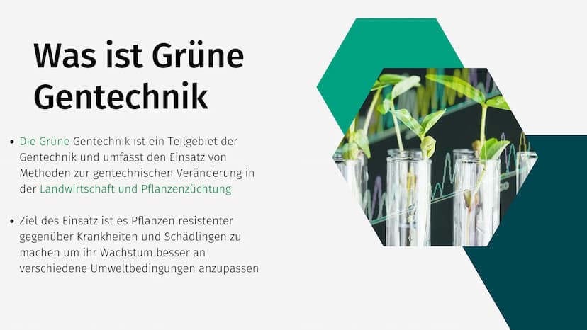 Grüne Gentechnik Gliederung
• Was ist Grüne Gentechnik?
• Grüne Gentechnik Methoden
• Fallbeispiel: Golden Rice
●
• Vor- & Nachteile von Grü