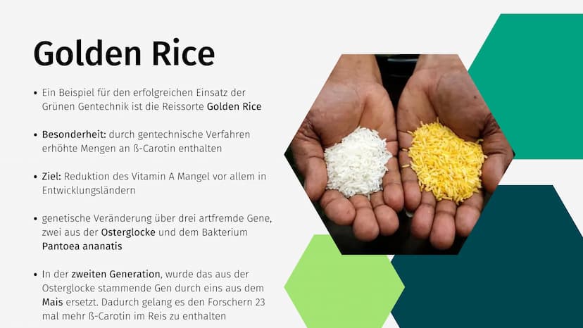 Grüne Gentechnik Gliederung
• Was ist Grüne Gentechnik?
• Grüne Gentechnik Methoden
• Fallbeispiel: Golden Rice
●
• Vor- & Nachteile von Grü
