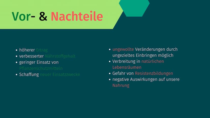 Grüne Gentechnik Gliederung
• Was ist Grüne Gentechnik?
• Grüne Gentechnik Methoden
• Fallbeispiel: Golden Rice
●
• Vor- & Nachteile von Grü