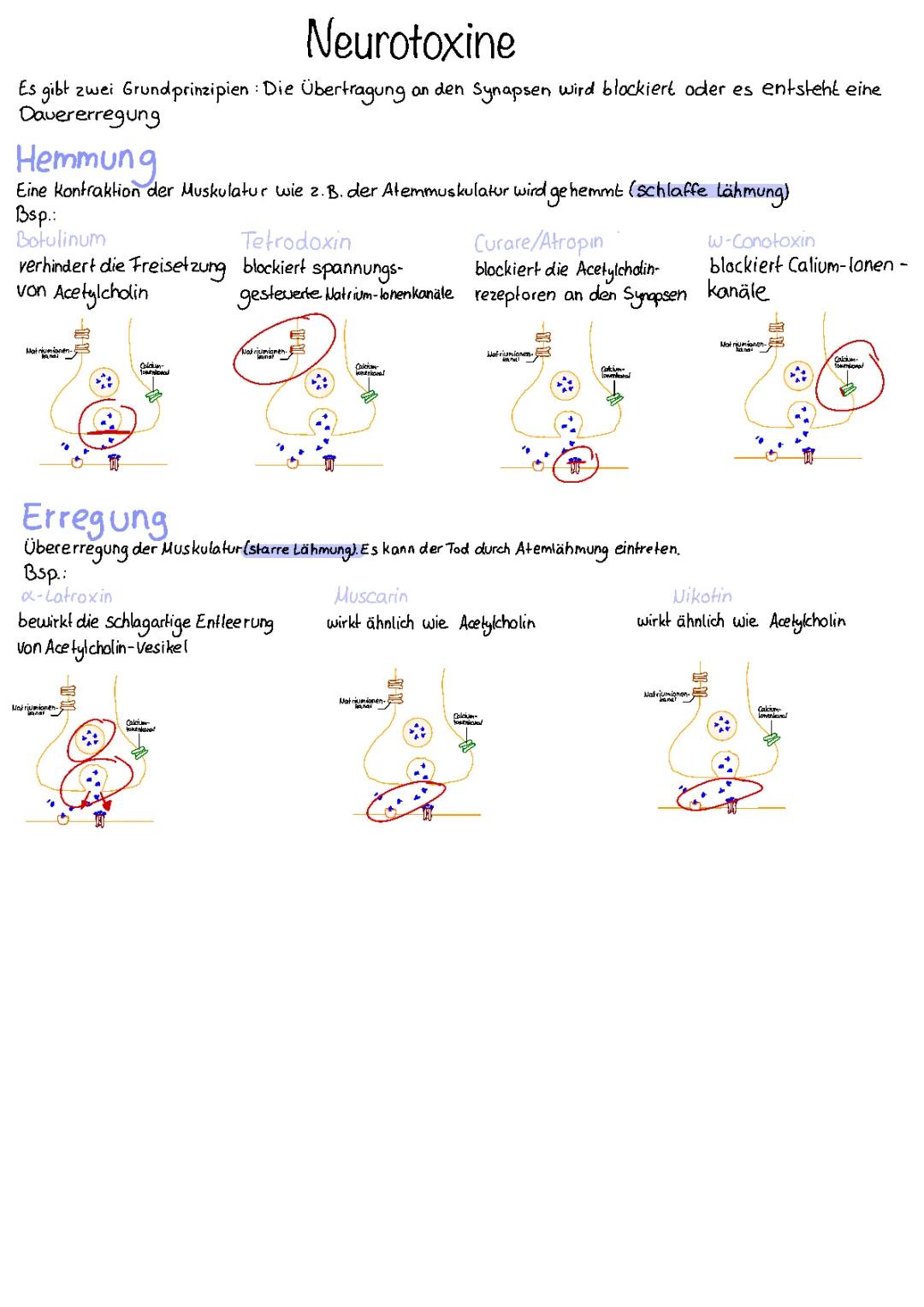 Neurotoxine/Synapsengifte 