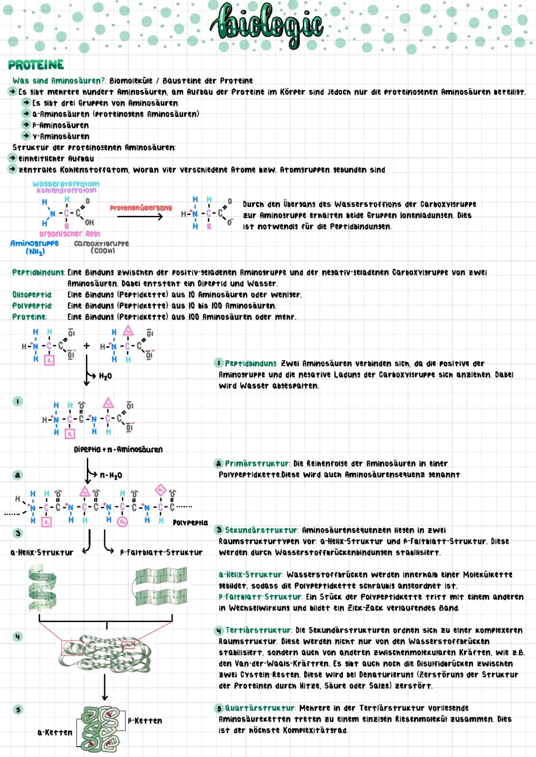 Proteine, Lipide, Kohlenhydrate, Biomembranen 