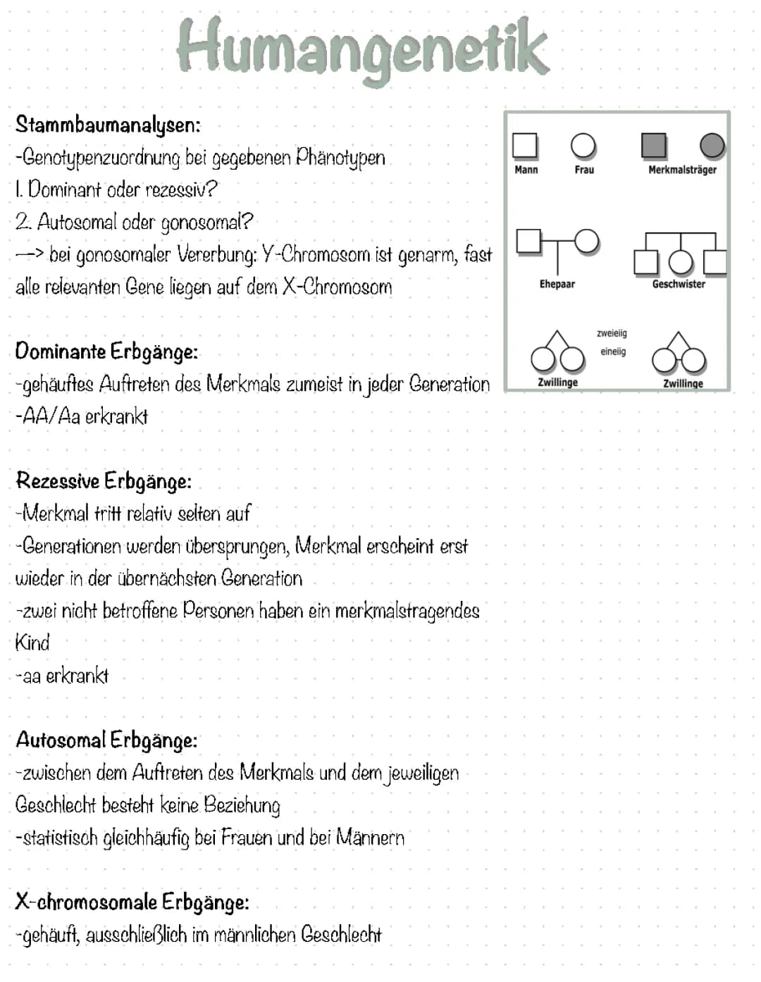 Genetik, Stammbaumanalyse, Proteinbiosynthese, Mutationen