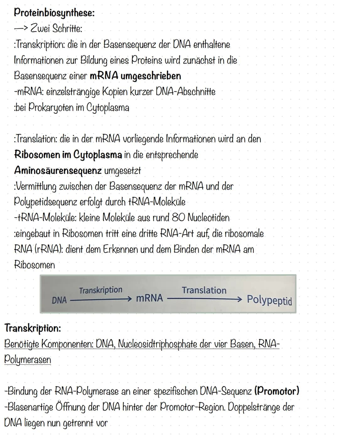 Humangenetik
Stammbaumanalysen:
-Genotypenzuordnung bei gegebenen Phänotypen
1. Dominant oder rezessiv?
2. Autosomal oder gonosomal?
→> bei 
