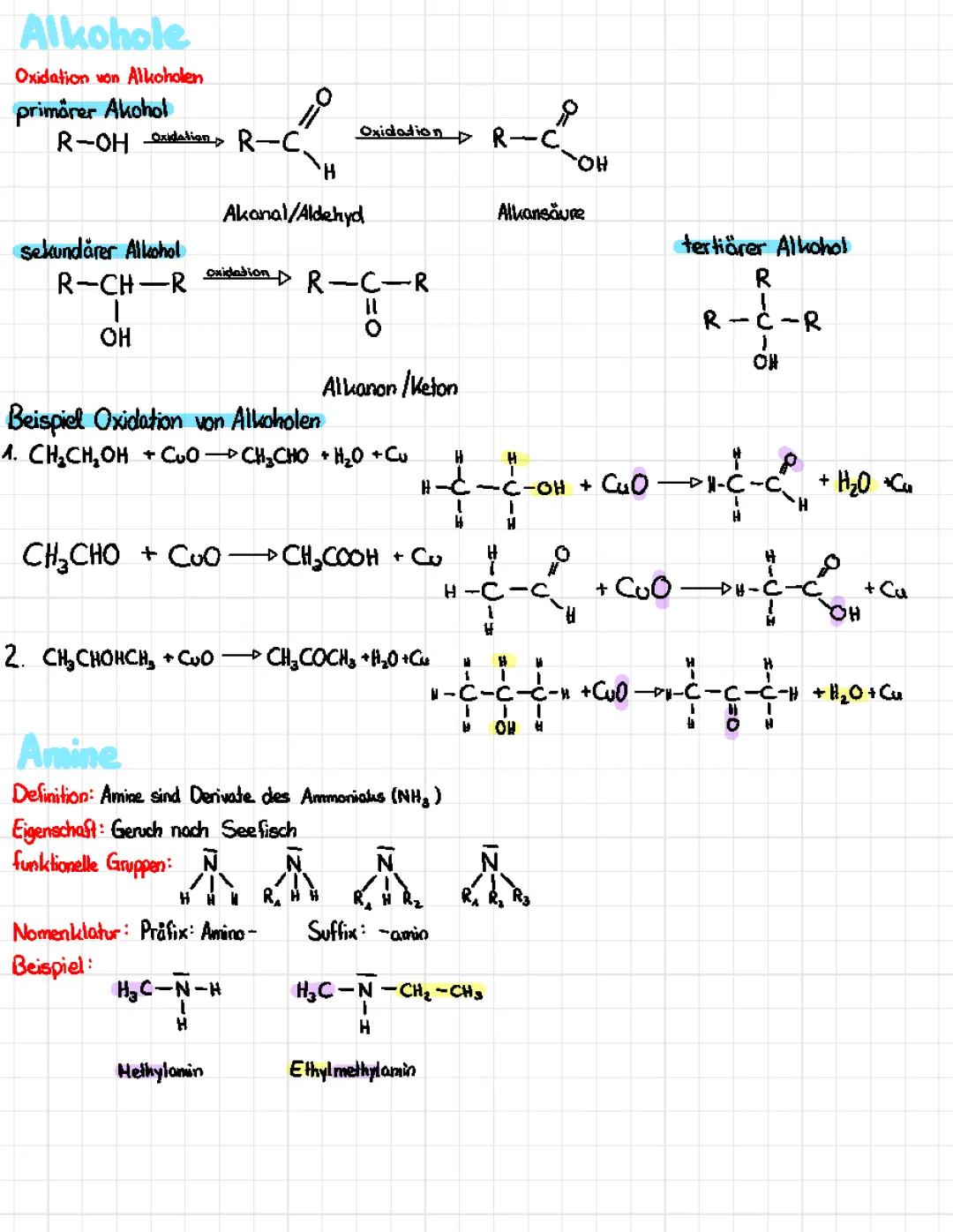 Alkohole, Amine, Aminosäuren, Peptide, Fette, Seifen
