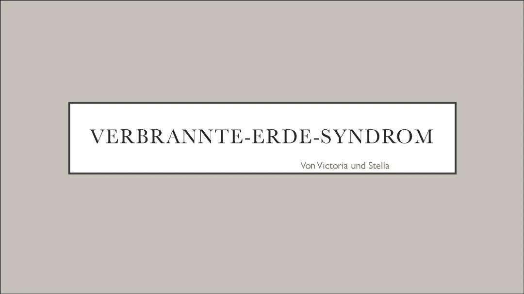 Verbrannte Erde Syndrom: Beispiele und Erklärungen zum Vietnamkrieg