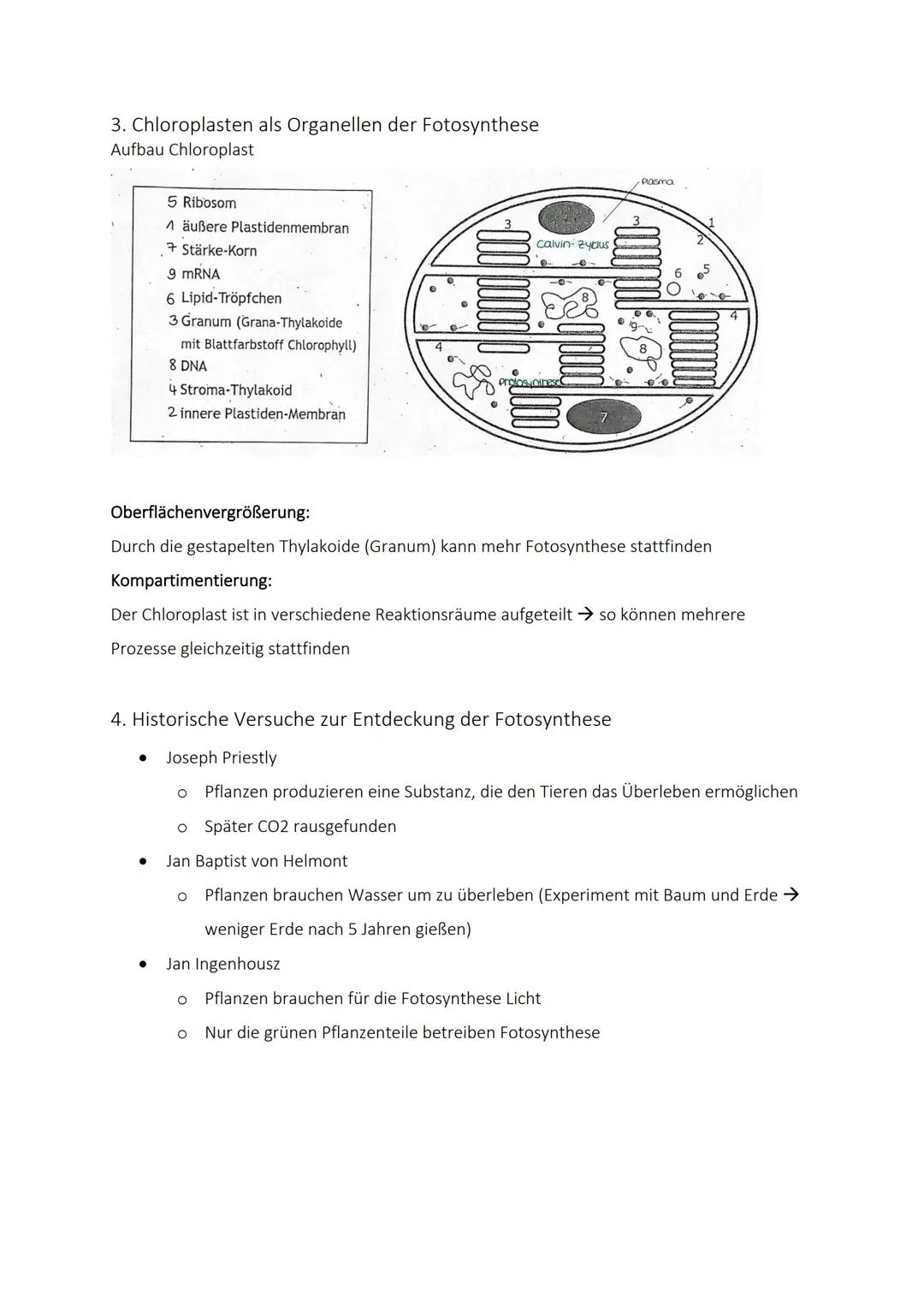 # Bio KA I Zusammenfassung

1. Formen des Stoffwechsels

Stoffwechsel = Alle chemischen Veränderungen der Stoffe in einem Organismus

| Abba