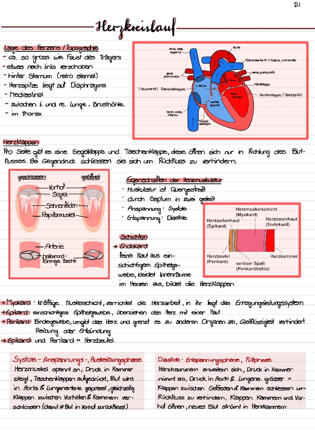 Herzkreislaufsystem & Pathophysiologie