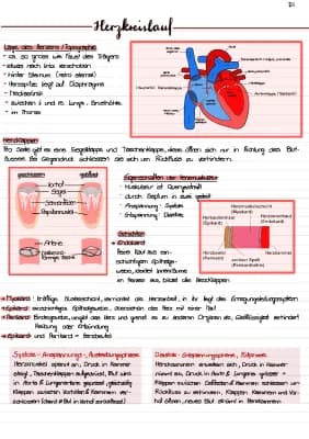 Know Herzkreislaufsystem & Pathophysiologie thumbnail