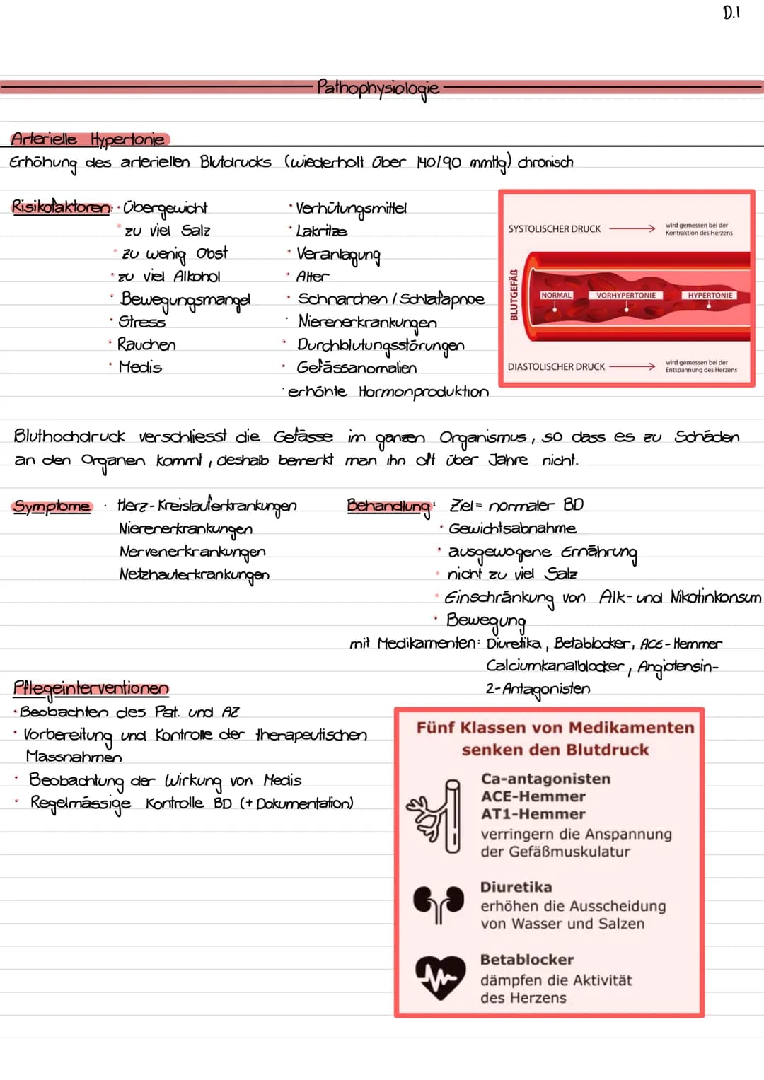 Lage des Herzens / Topographie
- ca. so gross wie Faust des Trägers
- etwas nach links verschoben
- hinter Sternum (retro sternal)
- Herzspi