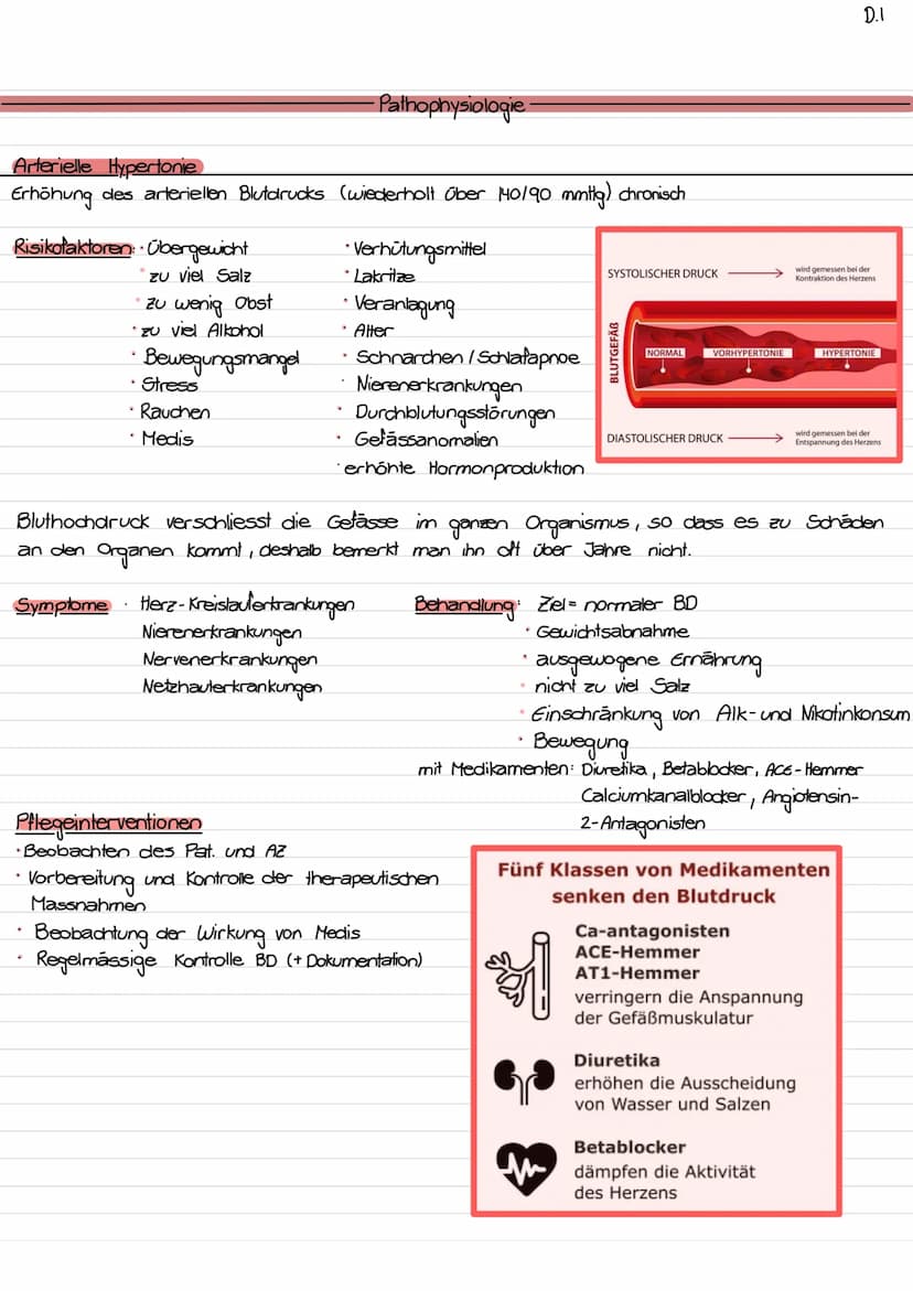 Lage des Herzens / Topographie
- ca. so gross wie Faust des Trägers
- etwas nach links verschoben
- hinter Sternum (retro sternal)
- Herzspi