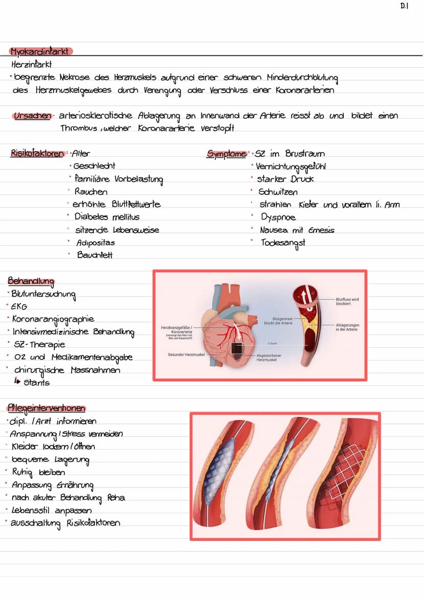 Lage des Herzens / Topographie
- ca. so gross wie Faust des Trägers
- etwas nach links verschoben
- hinter Sternum (retro sternal)
- Herzspi