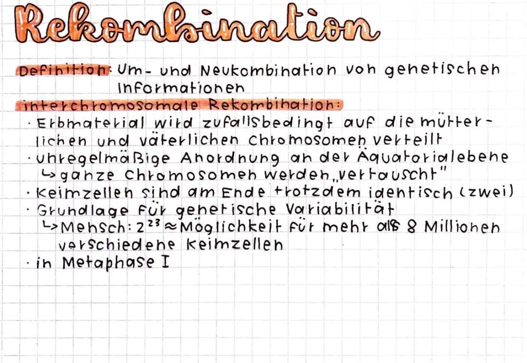 Interchromosomale und Intrachromosomale Rekombination einfach erklärt 🧬